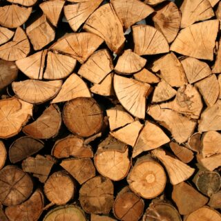 Vingerlassen de geheime superkracht van hout